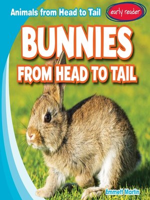 cover image of Bunnies from Head to Tail